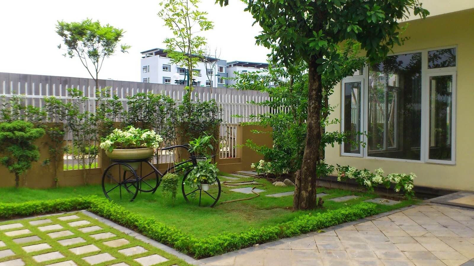 Những loại cây cảnh sân vườn đẹp mắt, dễ chăm sóc